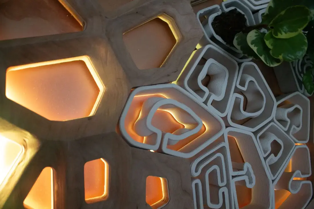 Illuminated Cells — The Screen — III