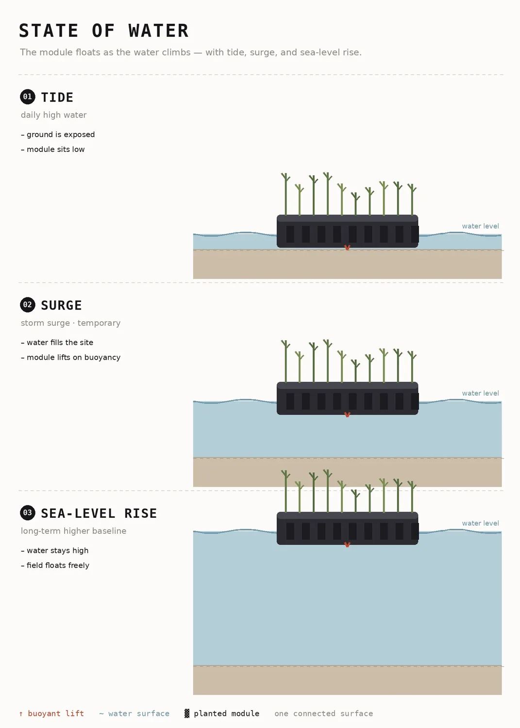 Tidal Textile — Water States — Tide, Surge, Rise
